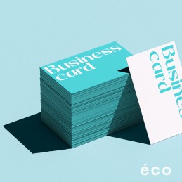 Cartes de visite Éco