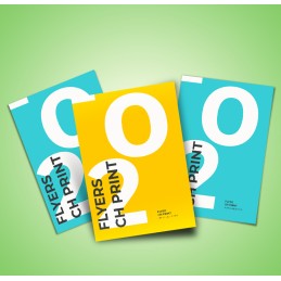 flyers Standards, format A5