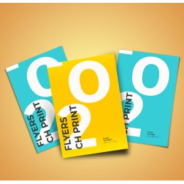 flyers Standards, format A6